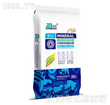 ���V���}�F�\��-չ������