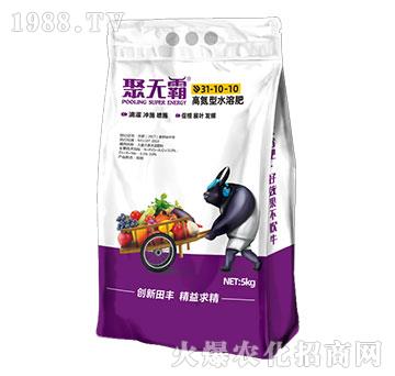 高氮型水溶肥31-10-10-聚無(wú)霸-田豐