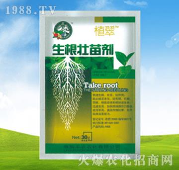 �������焩-ֲ��-�S�r�r��