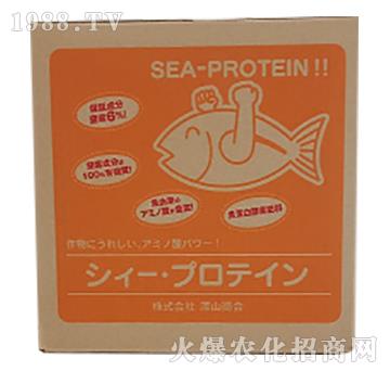 �~����ĸҺ-�̄�����