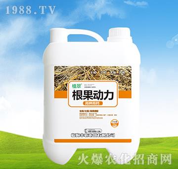 5kg��������-ֲ��-�S�r(n��ng)�r(n��ng)��