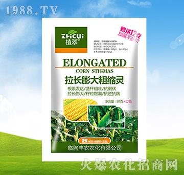 ���L���ֿs�`-ֲ��-�S�r(n��ng)�r(n��ng)��