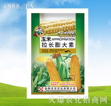 �������L�����-�S�r�r��