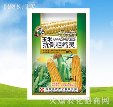 ���׿����ֿs�`-�S�r(n��ng)�r(n��ng)��