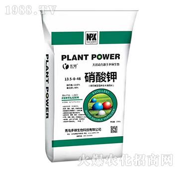 �����13.5-0-46-���P����