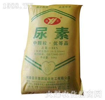 ����-�ӻ�����