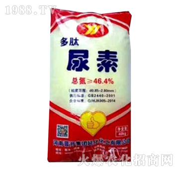 ��������-�ӻ�����