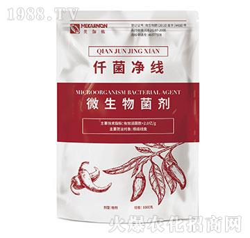 ΢�������-Ǫ������-��٤�z