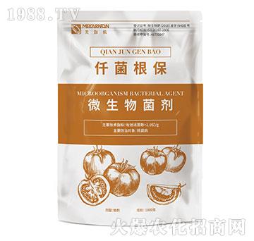 ΢�������-Ǫ������-��٤�z