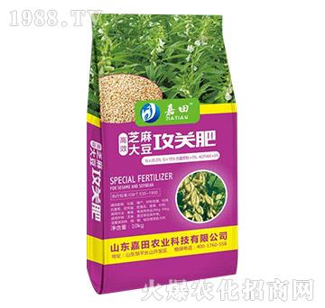 ֥��󶹹��P(gu��n)��-�����r(n��ng)�I(y��)