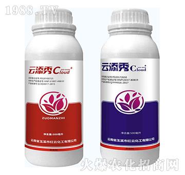 50%���+20%������-������-�t�ƻ���