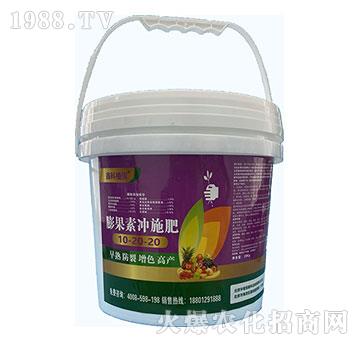 ����؛_ʩ��10-20-20-�ο�ֲ��