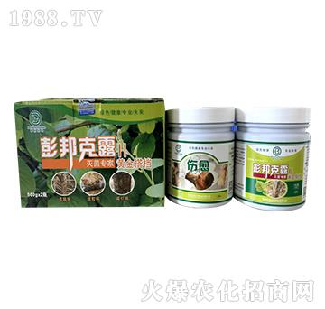 ����(sh��)�����������b-��������