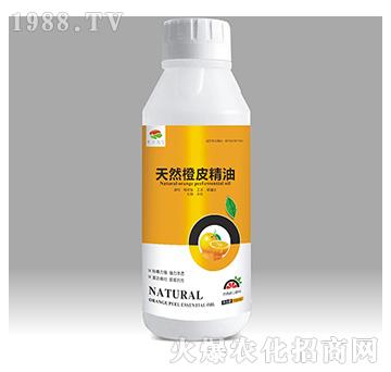 天然橙皮精油-日升生物