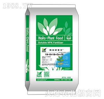 ����Ԫ��ˮ�ܷ���19-19-19+Ca+TE-�����Z���S-����