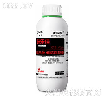 �߻�������-������-��������-��ķ�R