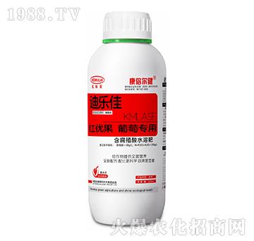 ���ь��üt��(y��u)��-�Ϙ�(l��)��-��������-��ķ�R