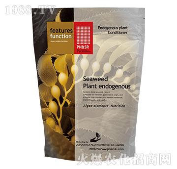 �����ˡ����������-�(y��ng)��G��