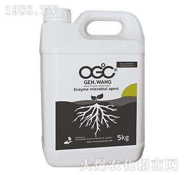 ����΢�������-OGC������-ꖹ�G��