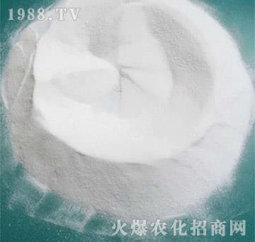 �ЙC����-���㺣