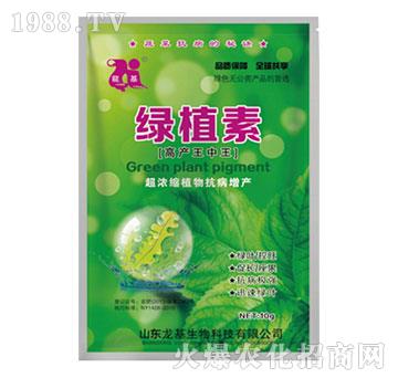 �Gֲ��-��������