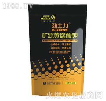 �VԴ�S�����-������-�A�S����