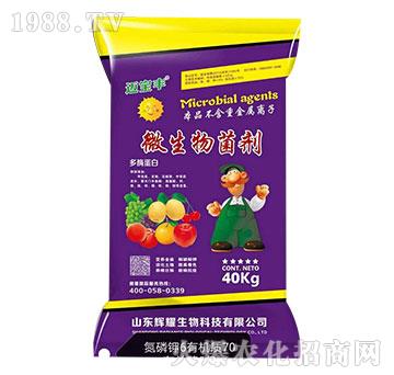 ΢�������-�~���S-�xҫ����