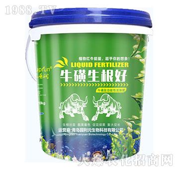 ����������-�@��Ԫ