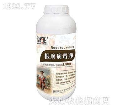 ����������-�@��Ԫ