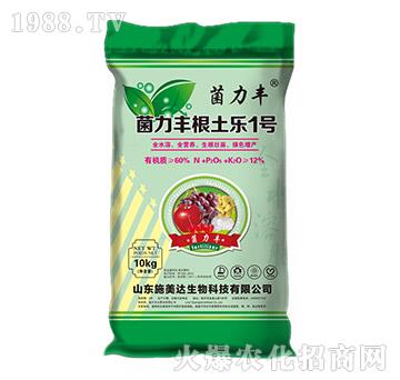 �����S������1̖-�����S-ʩ���_(d��)