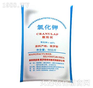 �Ȼ��-�r(n��ng)���_(d��)�ʘI(y��)