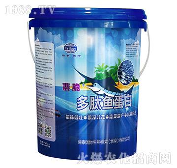 �����~����-���-��̩���H