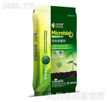 微生物菌劑-貝塔利