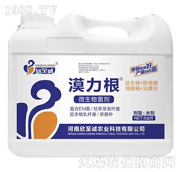 5����΢�������-Į����-�����\