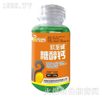 �Ǵ��}-�����\