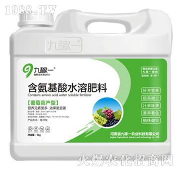 葡萄高產(chǎn)型含氨基酸水溶肥料-九稼一