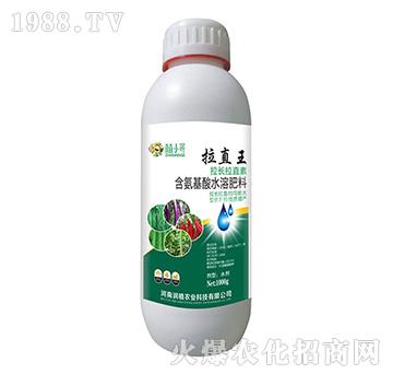 ��ֱ��-��ֲ