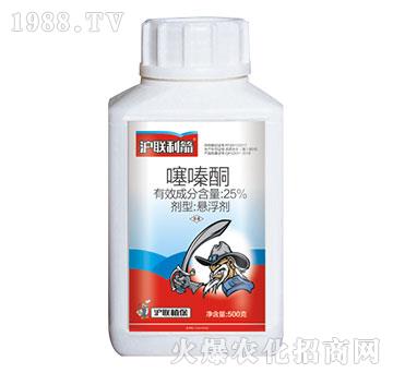 25%���ͪ-��(li��n)����-��(li��n)