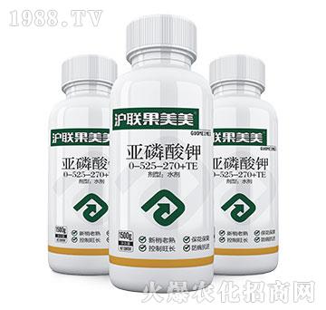 �������0-525-370+TE-��������-��