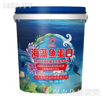 �����~����-����r(n��ng)�I(y��)