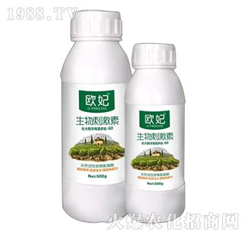 ����̼���-�W��-��������