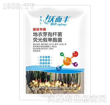 姜蒜專用熒光·地衣芽孢桿菌-沃而豐-泰利爾