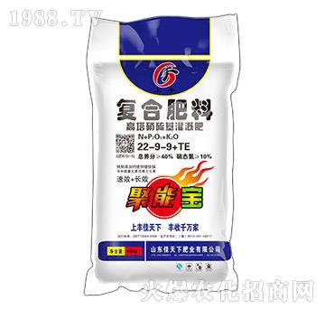 �����������ȏͺϷ���22-9-9+TE���S-������