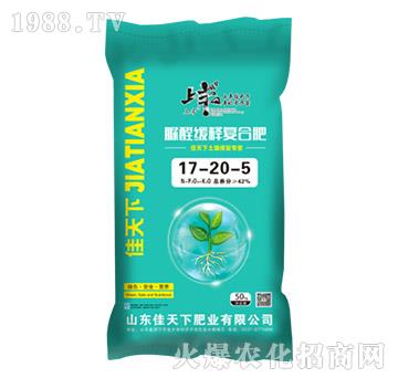 ��ȩ��ጏ�(f��)�Ϸ���17-20-5-���S-������