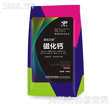 �Ż��}-ϲ�R�f��-������