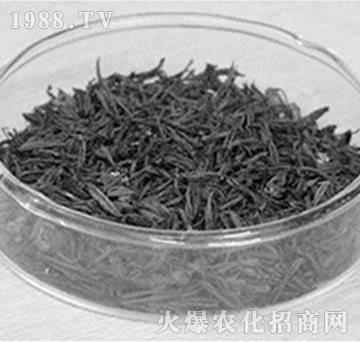 ����̿-���f���r(n��ng)�I(y��)