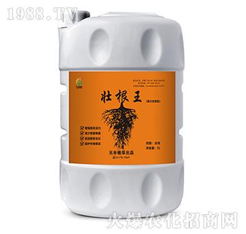 �Ѹ��������������ͣ�-Ԫ��ֲ��