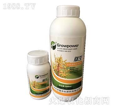 ��������ˮ�ܷ���-������ƿ��-�G��