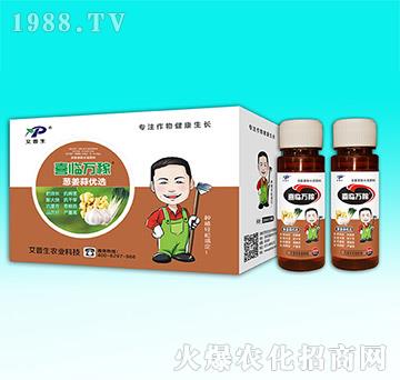 �[���⃞(y��u)�x-ϲ�R�f��-������