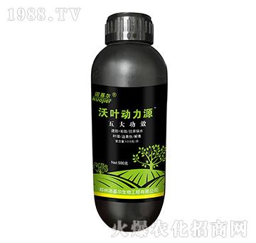 沃葉動力源-諾基爾